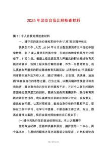 2025年團(tuán)員自我比照檢查材料