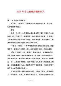 2025年它讓我感到暖和作文