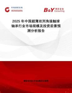 2025年中國超薄雙列角接觸球軸承行業(yè)市場規(guī)模及投資前景預測分析報告