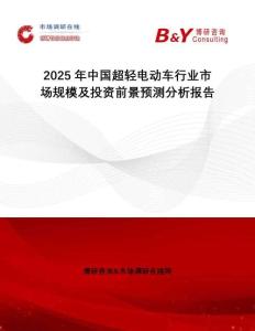 2025年中國超輕電動車行業(yè)市場規(guī)模及投資前景預(yù)測分析報告