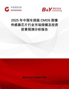 2025年中國車規級CMOS圖像傳感器芯片行業市場規模及投資前景預測分析報告