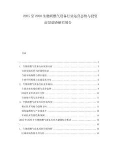 2025至2030生物質(zhì)燃?xì)庠O(shè)備行業(yè)運營態(tài)勢與投資前景調(diào)查研究報告