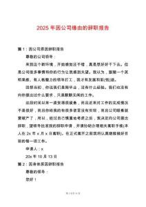 2025年因公司緣由的辭職報(bào)告