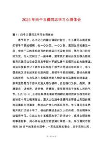 2025年向牛玉儒同志學(xué)習(xí)心得體會(huì)