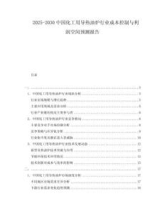 2025-2030中國化工用導(dǎo)熱油爐行業(yè)成本控制與利潤空間預(yù)測報告