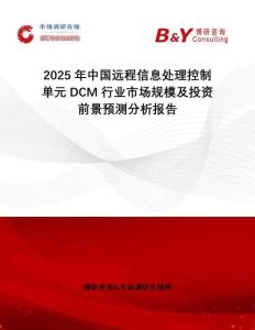 2025年中國遠程信息處理控制單元DCM行業(yè)市場規(guī)模及投資前景預(yù)測分析報告