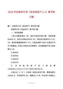 2025年初級審計師《非流淌資產(chǎn)(二)》章節(jié)練習題