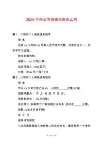 2025年向公司借錢借條怎么寫