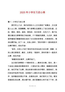 2025年小學(xué)生習(xí)武心得