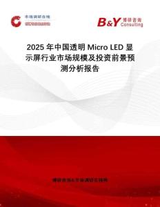 2025年中國(guó)透明Micro LED顯示屏行業(yè)市場(chǎng)規(guī)模及投資前景預(yù)測(cè)分析報(bào)告