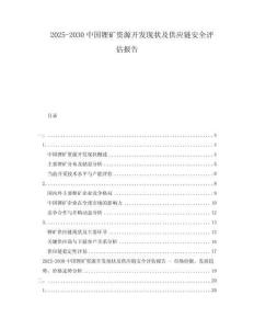 2025-2030中國鋰礦資源開發現狀及供應鏈安全評估報告