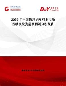 2025年中國通用API行業市場規模及投資前景預測分析報告