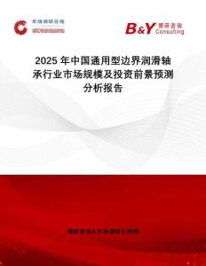 2025年中國通用型邊界潤滑軸承行業(yè)市場規(guī)模及投資前景預測分析報告