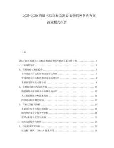 2025-2030消融術后遠程監(jiān)測設備物聯(lián)網(wǎng)解決方案商業(yè)模式報告