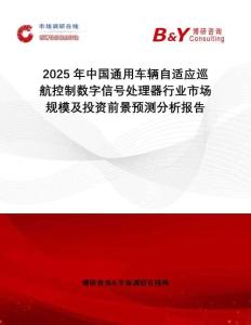 2025年中國通用車輛自適應巡航控制數字信號處理器行業市場規模及投資前景預測分析報告