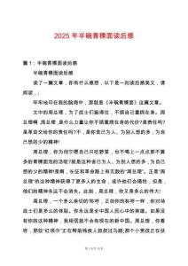 2025年半碗青稞面讀后感