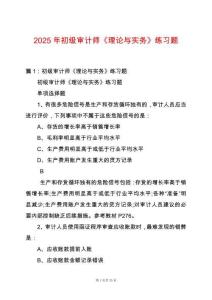 2025年初級審計師《理論與實務(wù)》練習(xí)題