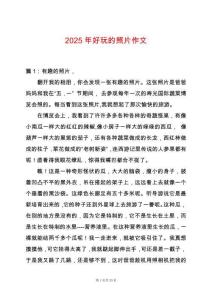 2025年好玩的照片作文