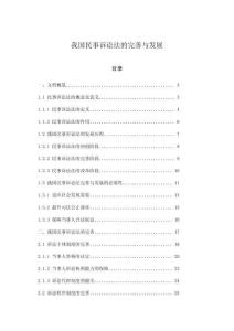 我國民事訴訟法的完善與發(fā)展