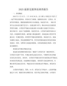 2025最新交通事故調查報告