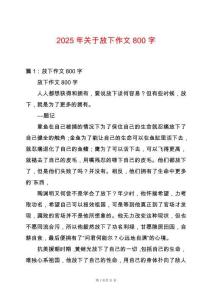 2025年關于放下作文800字
