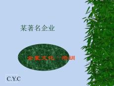 企業文化培訓（13頁PPT）