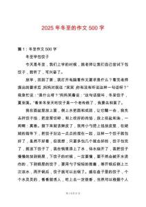 2025年冬至的作文500字