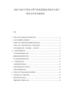 2025-2030中國(guó)電子特氣純化設(shè)備技術(shù)迭代與進(jìn)口替代可行性分析報(bào)告