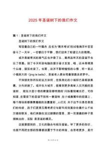 2025年圣誕樹下的我們作文