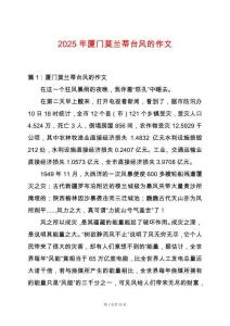 2025年廈門(mén)莫蘭蒂臺(tái)風(fēng)的作文