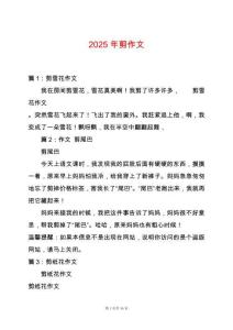 2025年剪作文