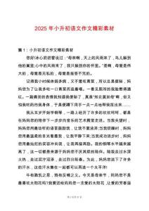 2025年小升初語文作文精彩素材