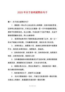 2025年關于表明超贊的句子