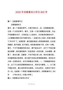 2025年另眼看宋江作文800字