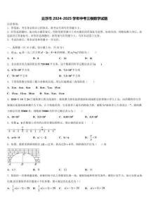 云浮市2024-2025學(xué)年中考三模數(shù)學(xué)試題含解析
