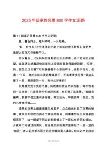 2025年回家的風景800字作文-趕路