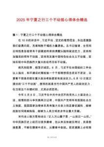 2025年寧夏之行三個(gè)不動(dòng)搖心得體會(huì)精選