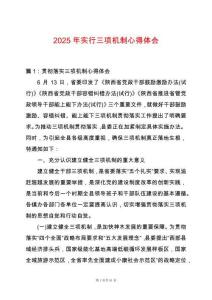 2025年實(shí)行三項(xiàng)機(jī)制心得體會(huì)
