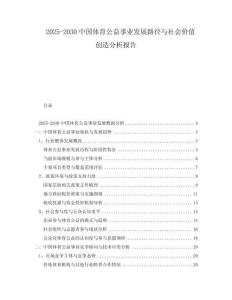 2025-2030中國體育公益事業發展路徑與社會價值創造分析報告
