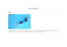 簡易呼吸器的使用