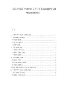 2025至2030中國PTCA導管行業市場深度研究與戰略咨詢分析報告