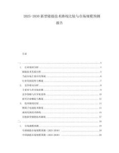 2025-2030新型儲能技術路線比較與市場規模預測報告