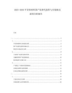 2025-2030半導(dǎo)體材料國產(chǎn)化替代進(jìn)程與市場(chǎng)格局演變分析報(bào)告