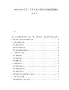 2025-2030中國百貨零售業轉型升級與業態創新分析報告