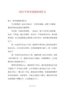 2025年密室逃脫嬉戲作文