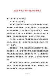 2025年天下第一福300字作文