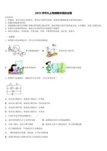 2025年云南省文山壯族苗族自治州物理九上期末檢測試題含解析