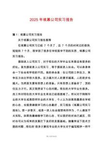 2025年埃慕公司實習(xí)報告