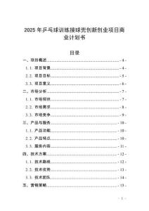 2025年乒乓球訓練接球兜創新創業項目商業計劃書