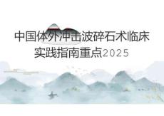 中國體外沖擊波碎石術臨床實踐指南重點2025